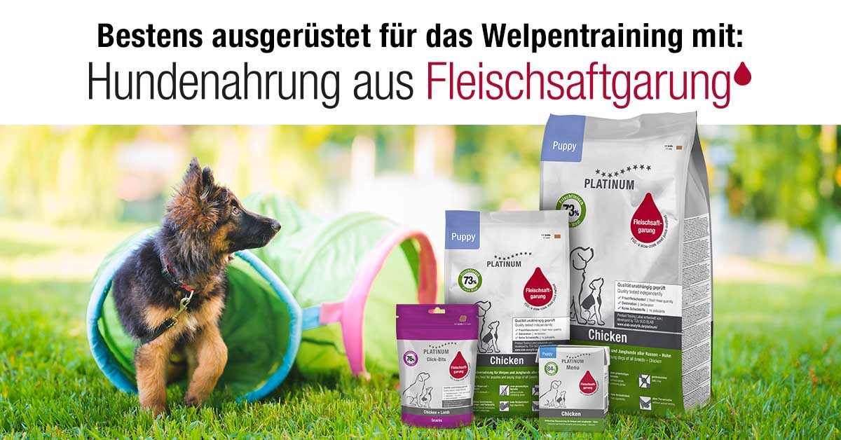 ⬆️ Klick dich hier zu Platinum!